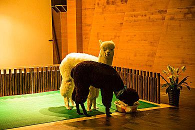 《光与影：33号远征队》创作思路 尊重玩家的游戏时间